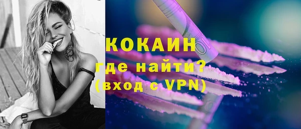 твердый Осинники