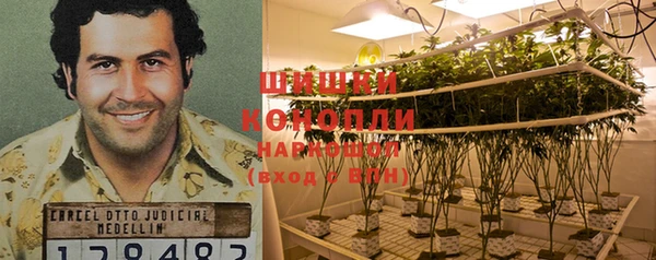 твердый Осинники