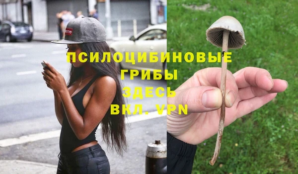 крисы Остров